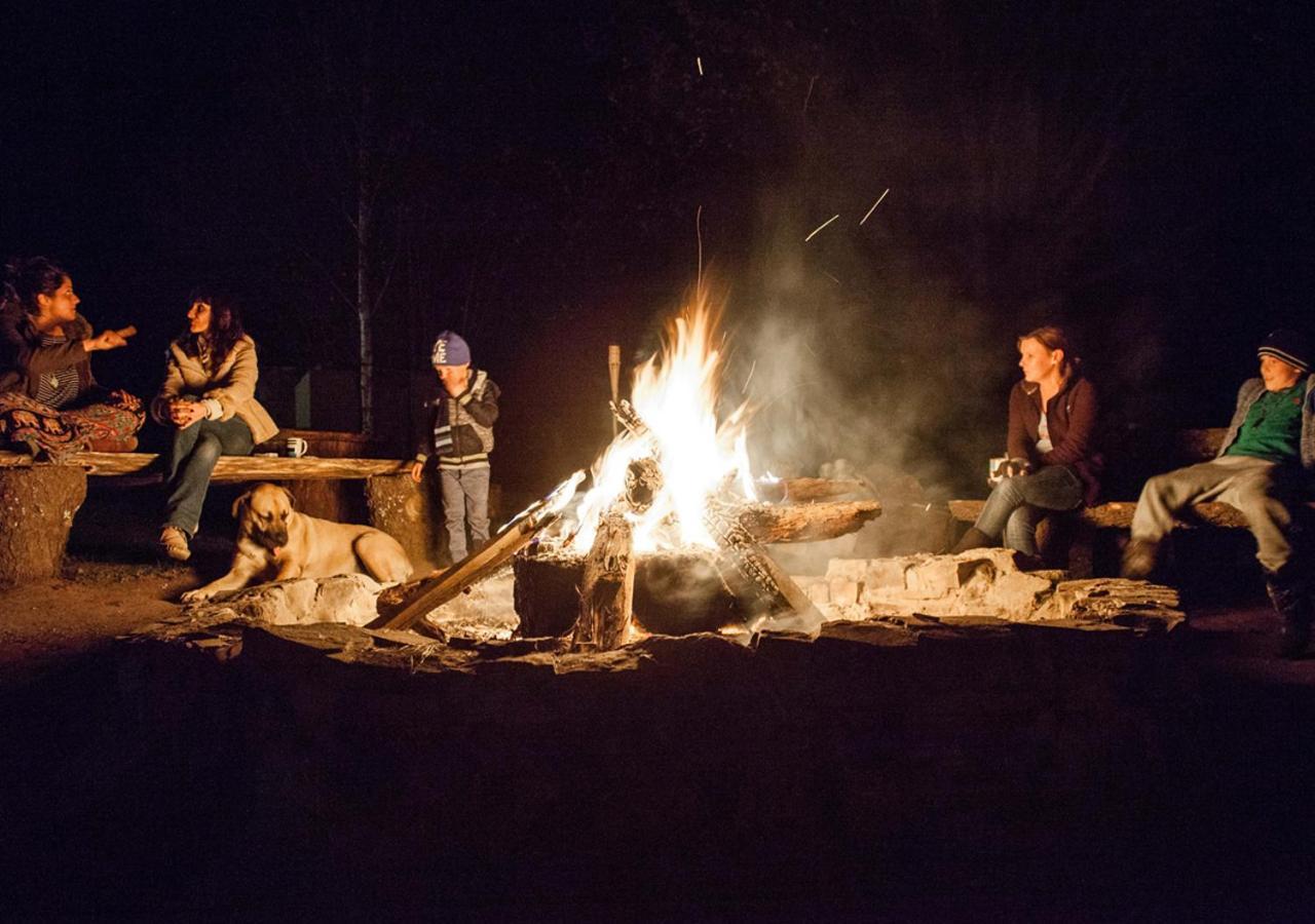 Away With The Fairies Nature Lodge And Backpackers Хогсбэк Экстерьер фото