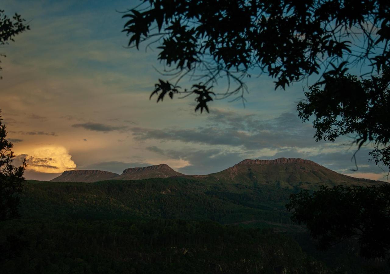 Away With The Fairies Nature Lodge And Backpackers Хогсбэк Экстерьер фото